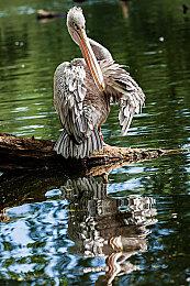 加入全新功能 《曼岛TT赛事：边缘竞速3》预告片赏